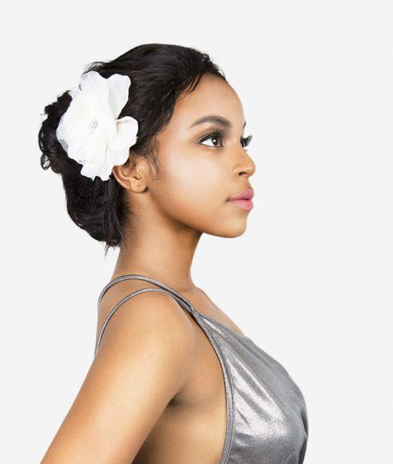 R&B 100% Unprocessed Brazilian Virgin Remy Wig - 3H-BERRY